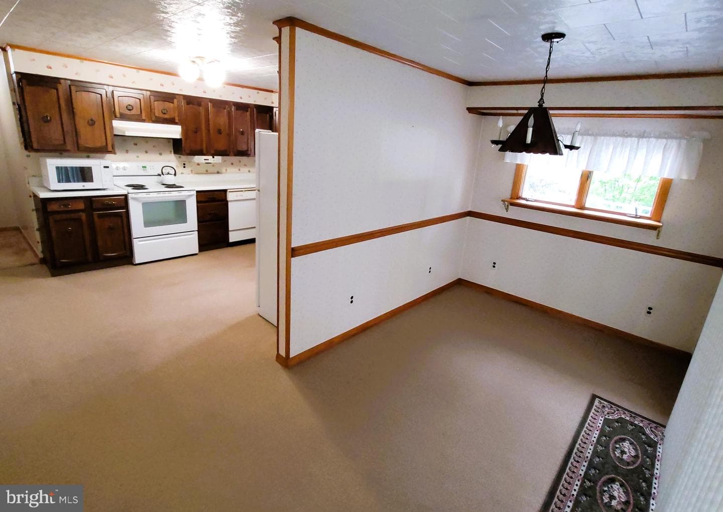 206 Laura Street photo 26