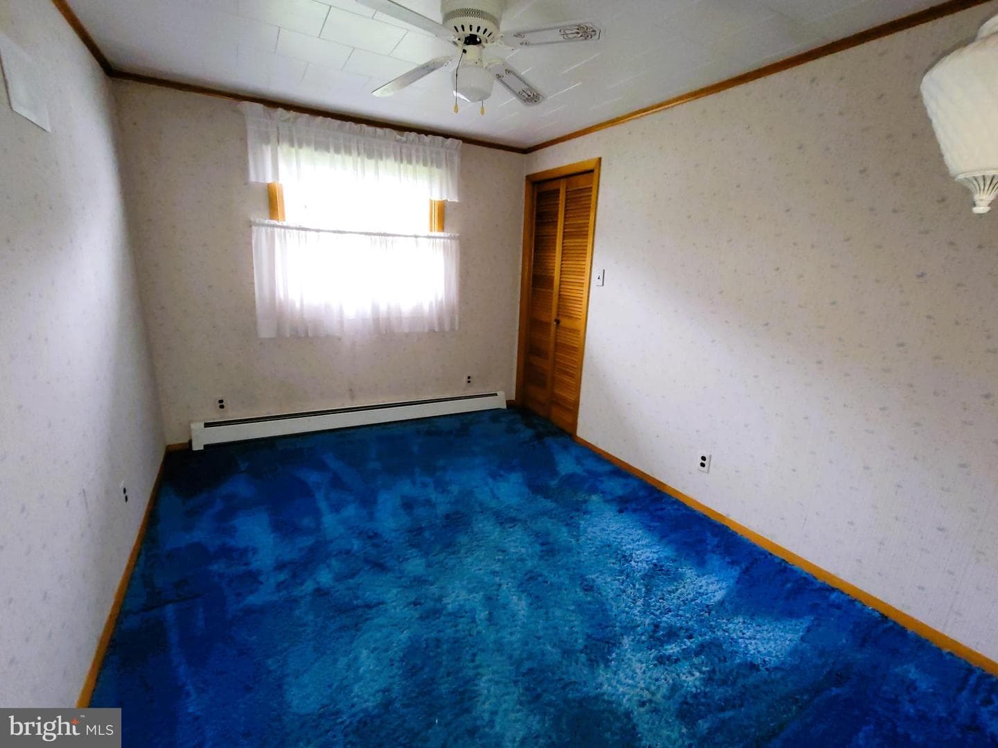 206 Laura Street photo 30