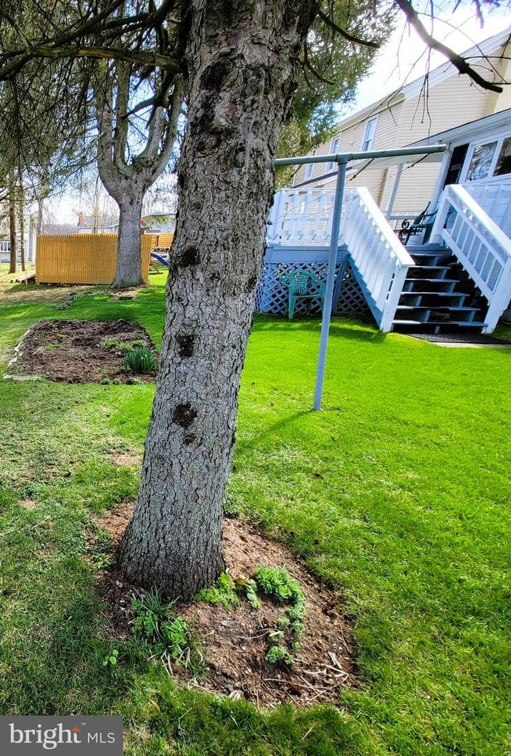 206 Laura Street photo 6