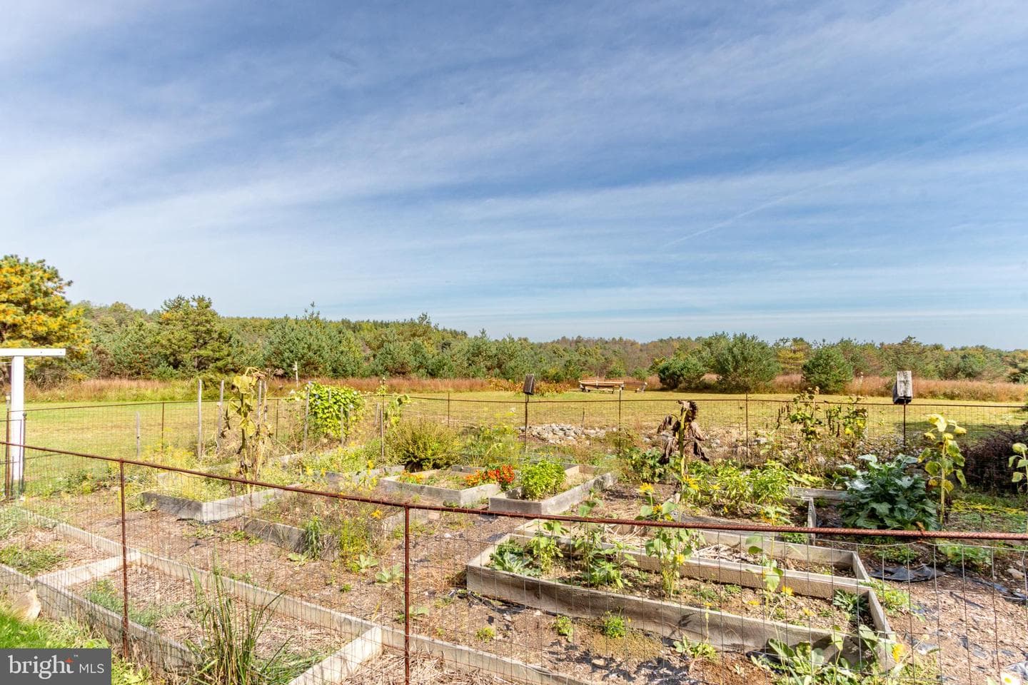 1206 Mowery Ridge Road photo 51