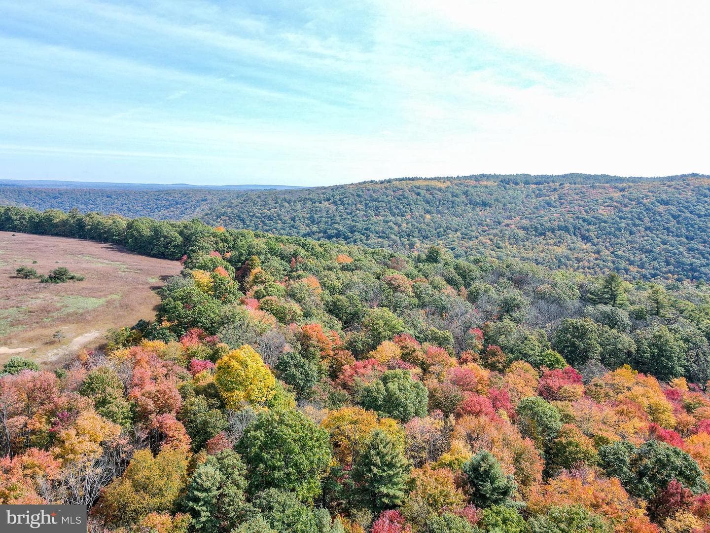 1206 Mowery Ridge Road photo 83