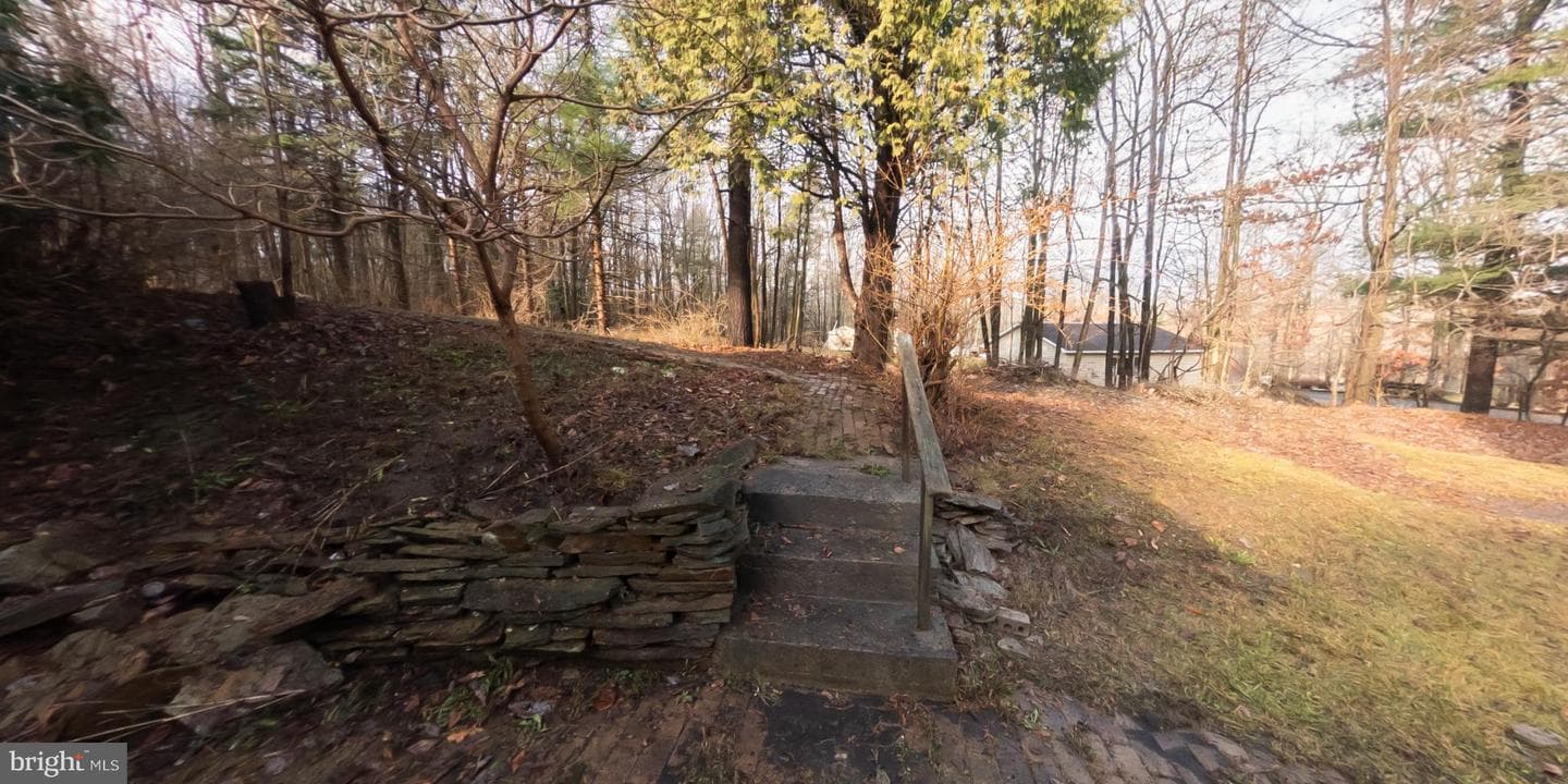 6291 Old Erie Pike photo 46