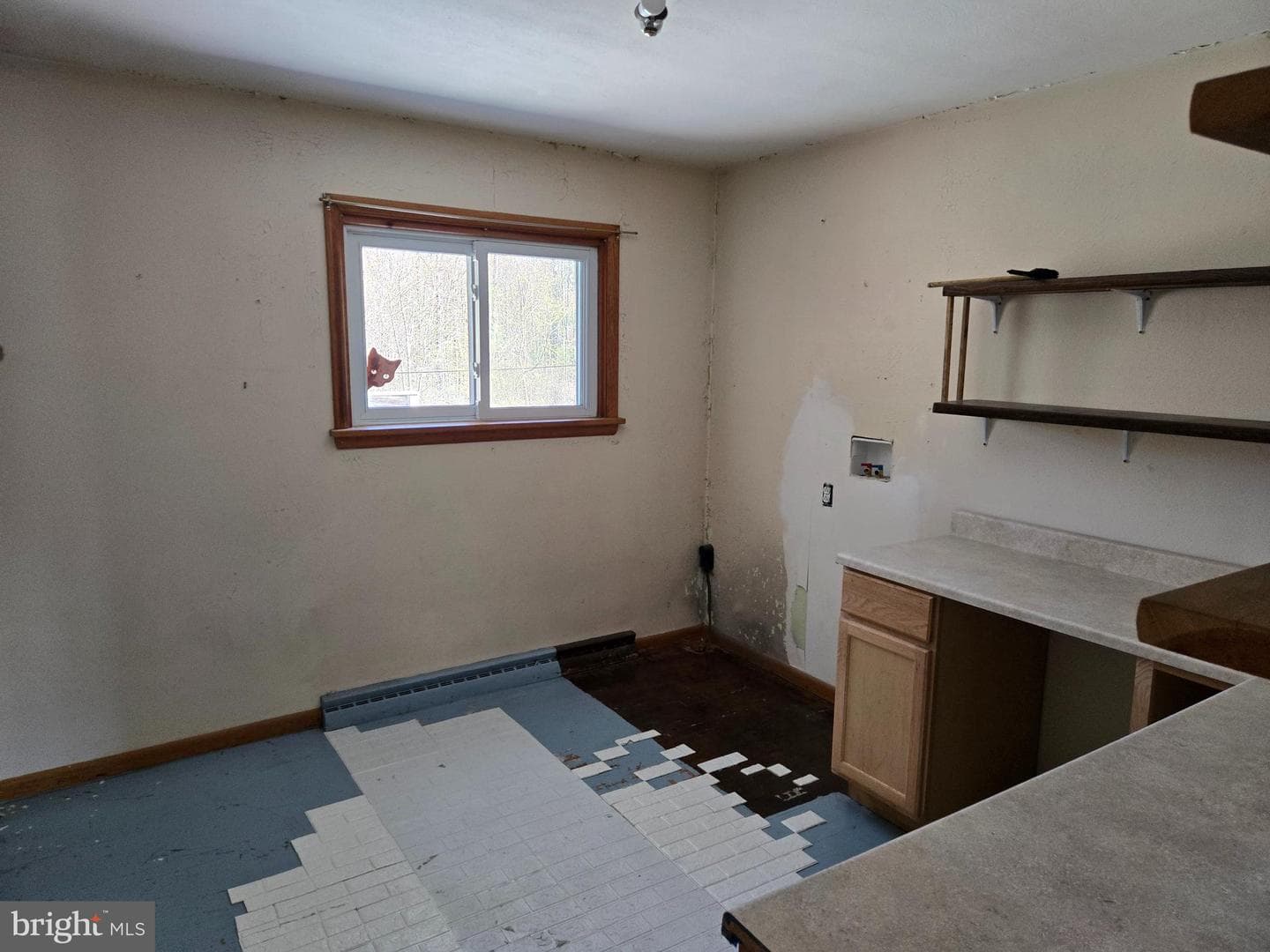 2578 Ashland Road photo 16