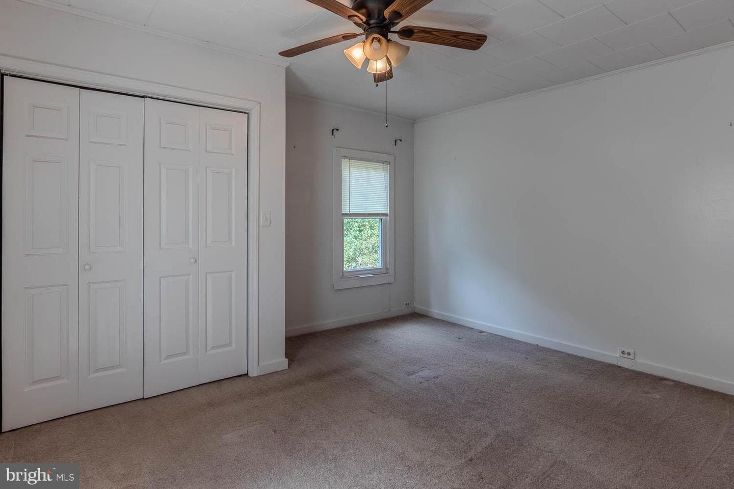 601 Laura Street photo 18