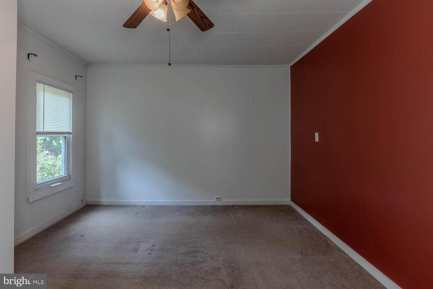 601 Laura Street photo 20