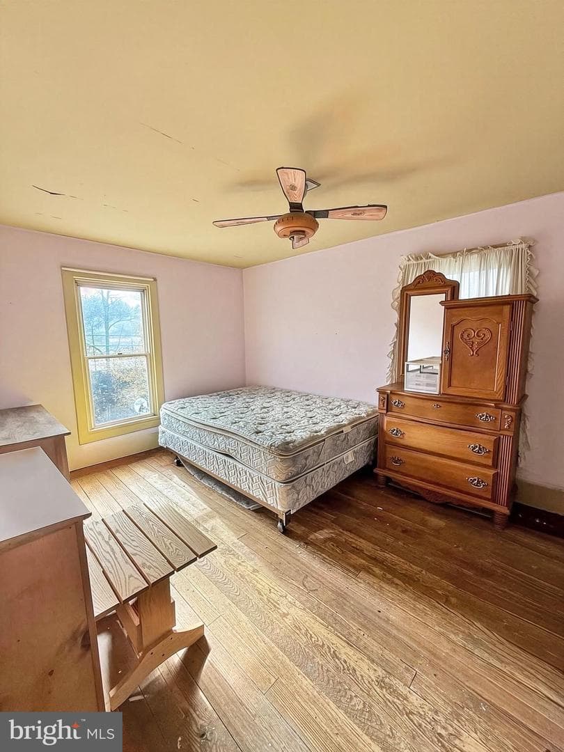 86 Lynn Street photo 11