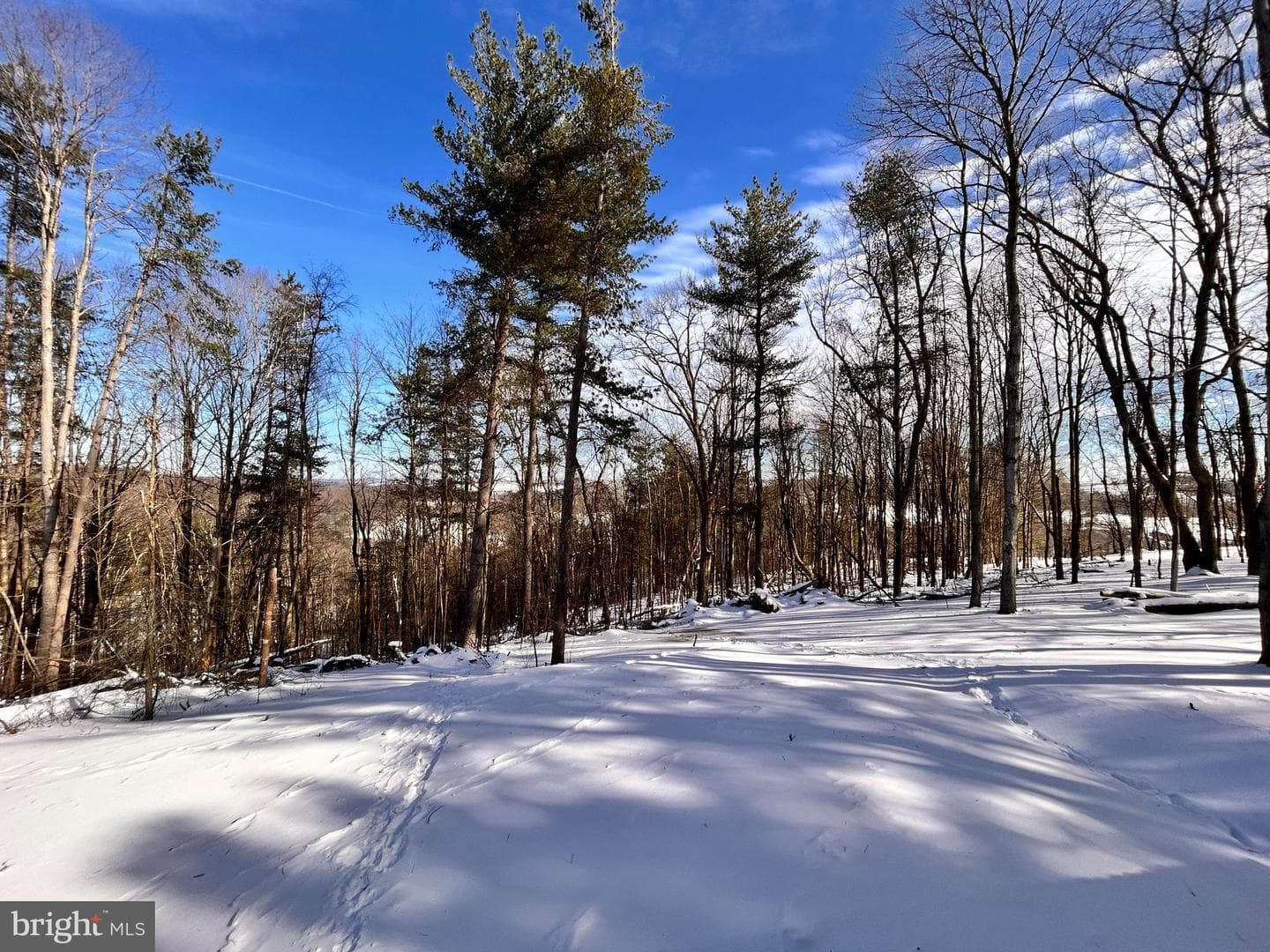 1311 Westover Road photo 16