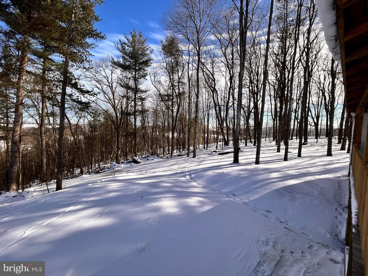 1311 Westover Road photo 17
