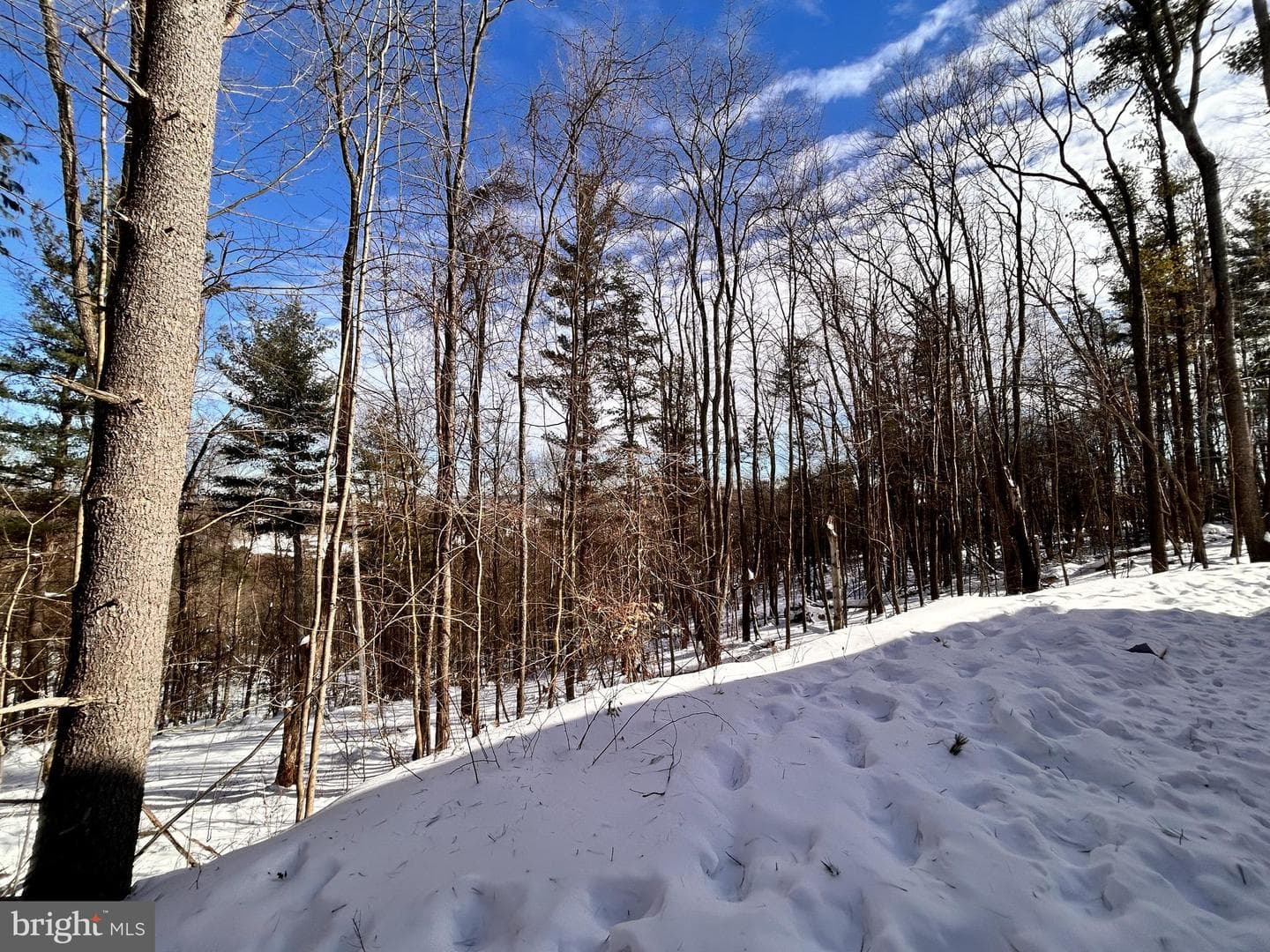 1311 Westover Road photo 20