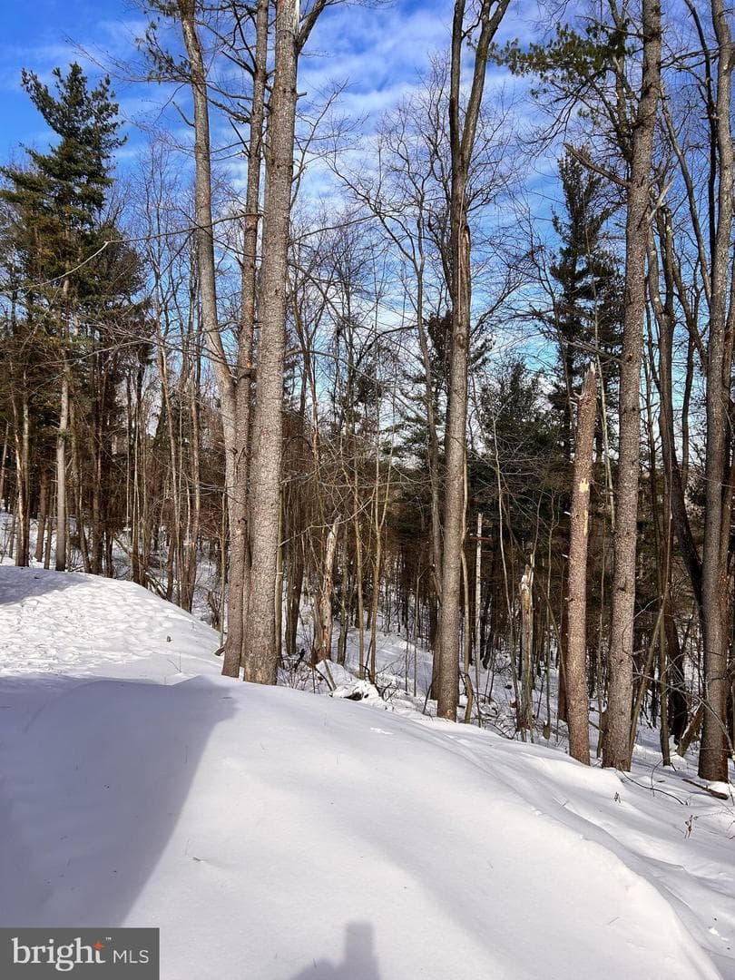 1311 Westover Road photo 28