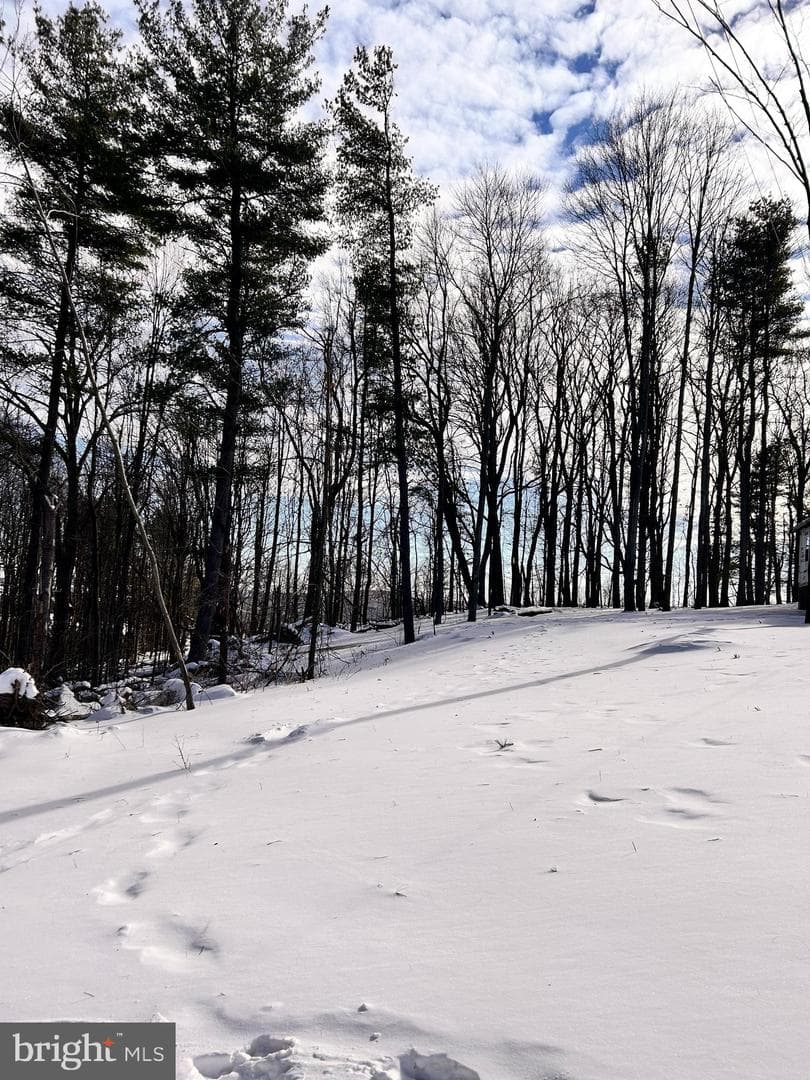 1311 Westover Road photo 29