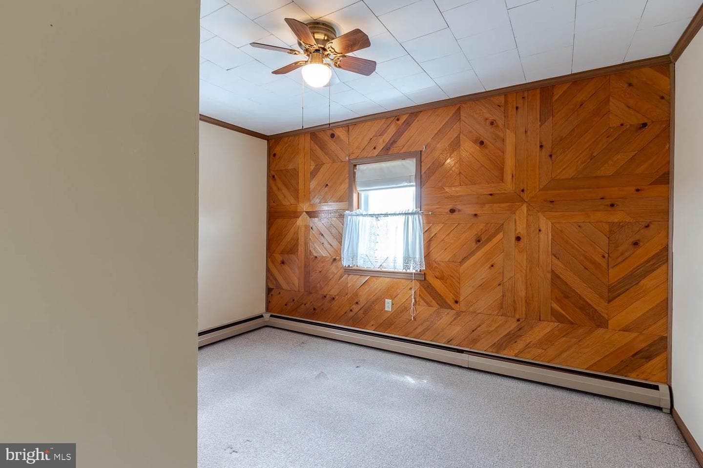 219 Elizabeth Street photo 21