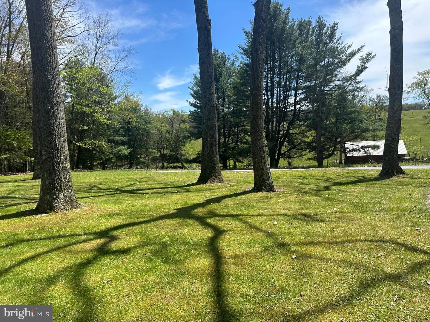 693 Big Run Road photo 5