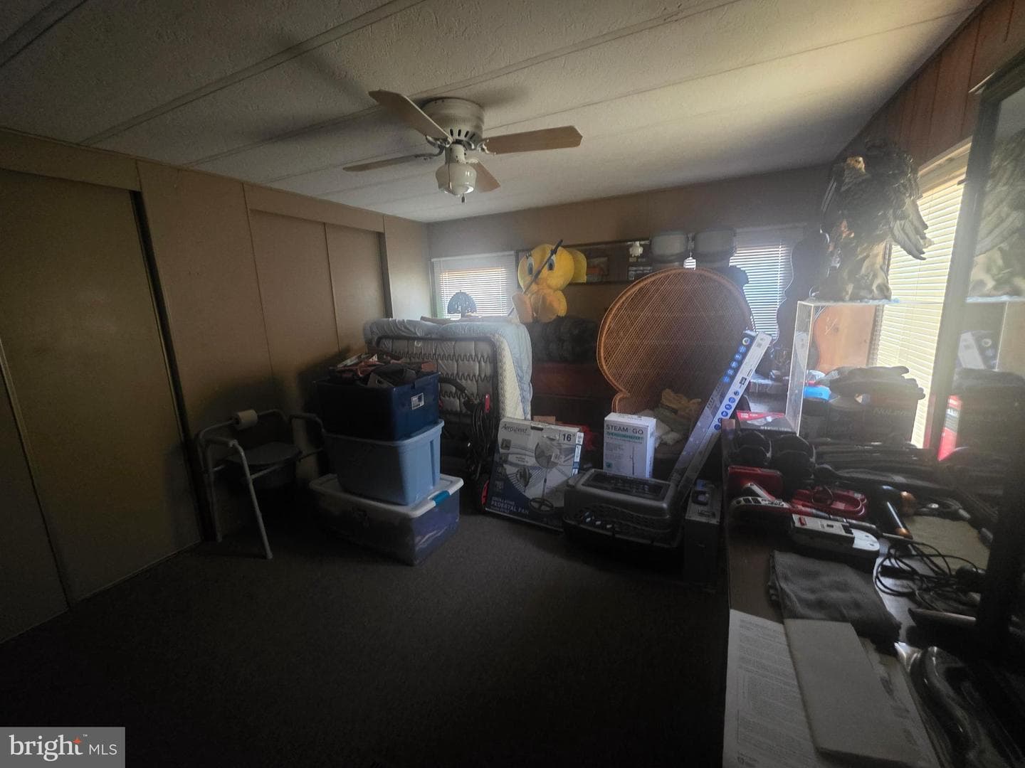218 Princess Street photo 23