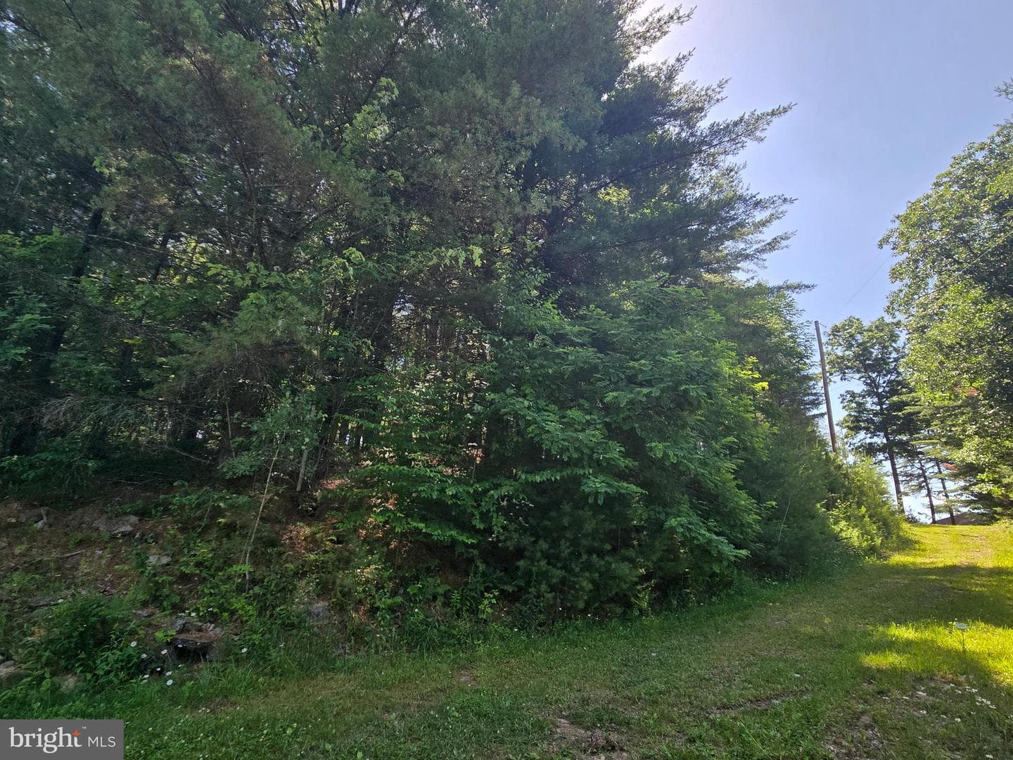 1855 Quehanna Highway photo 29