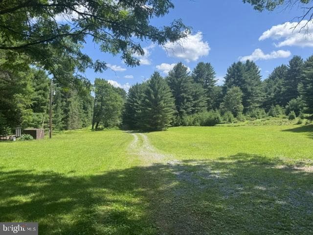 532 Phyllis Paradis Road photo 3