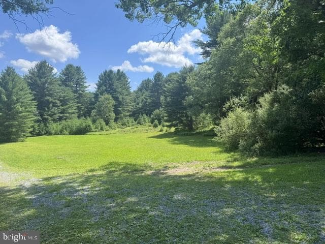 532 Phyllis Paradis Road photo 5