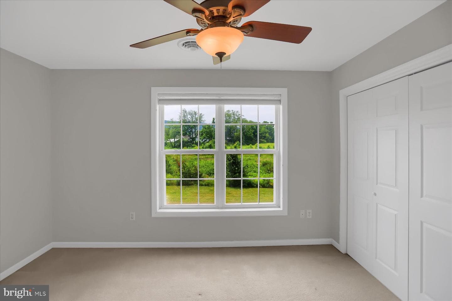 206 Fieldstone Lane photo 18