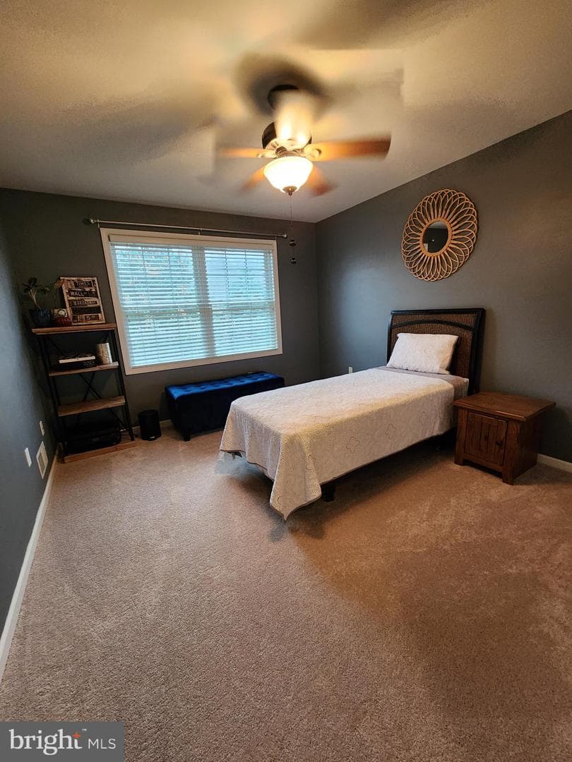 139 Winchester Court photo 27
