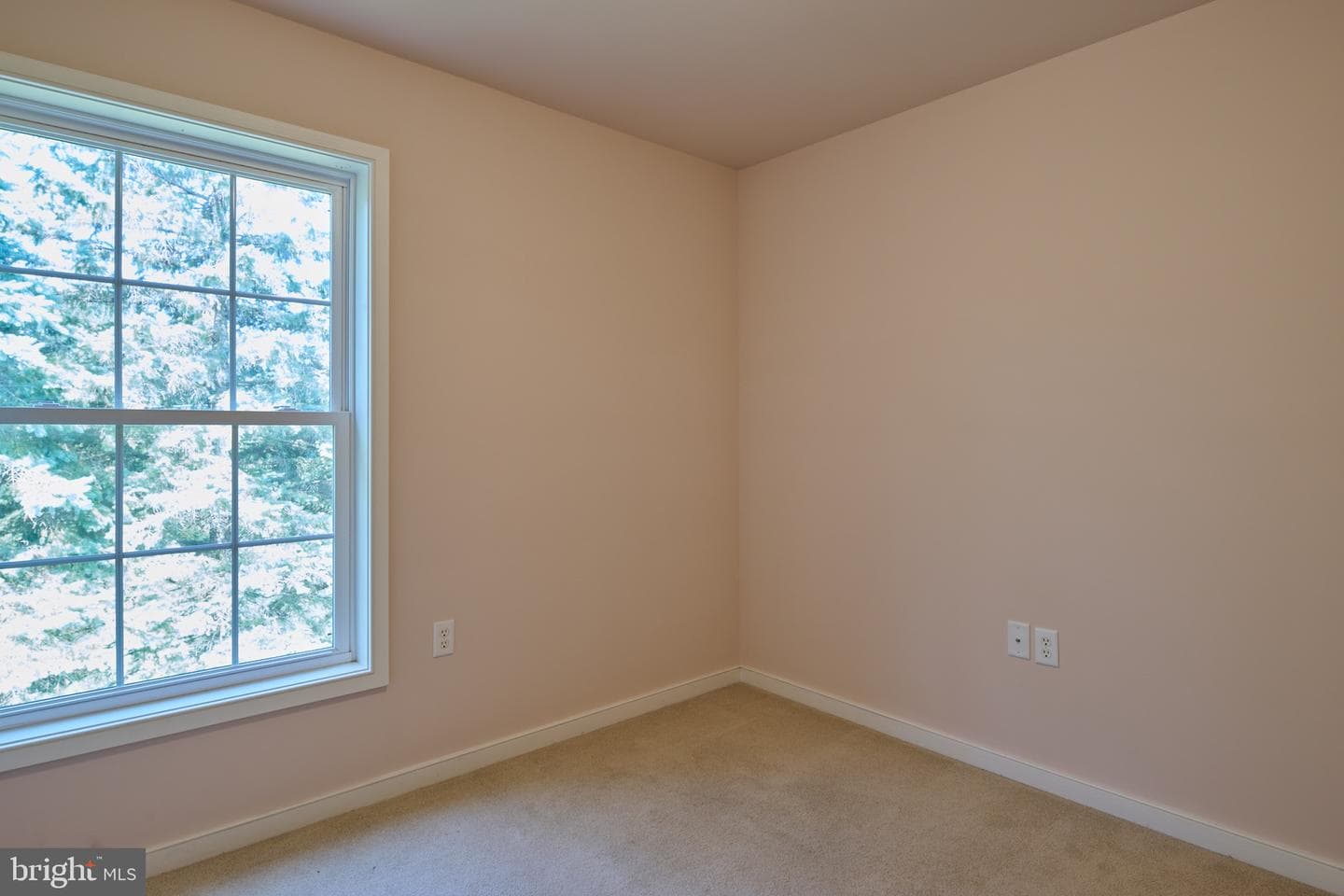 185 Wiltree Court photo 39