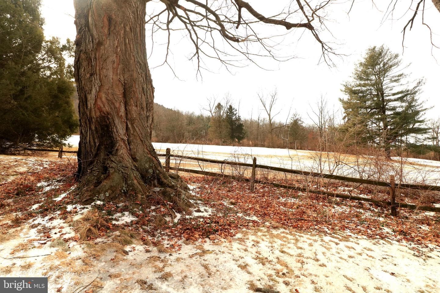 448 Hecla Road photo 66