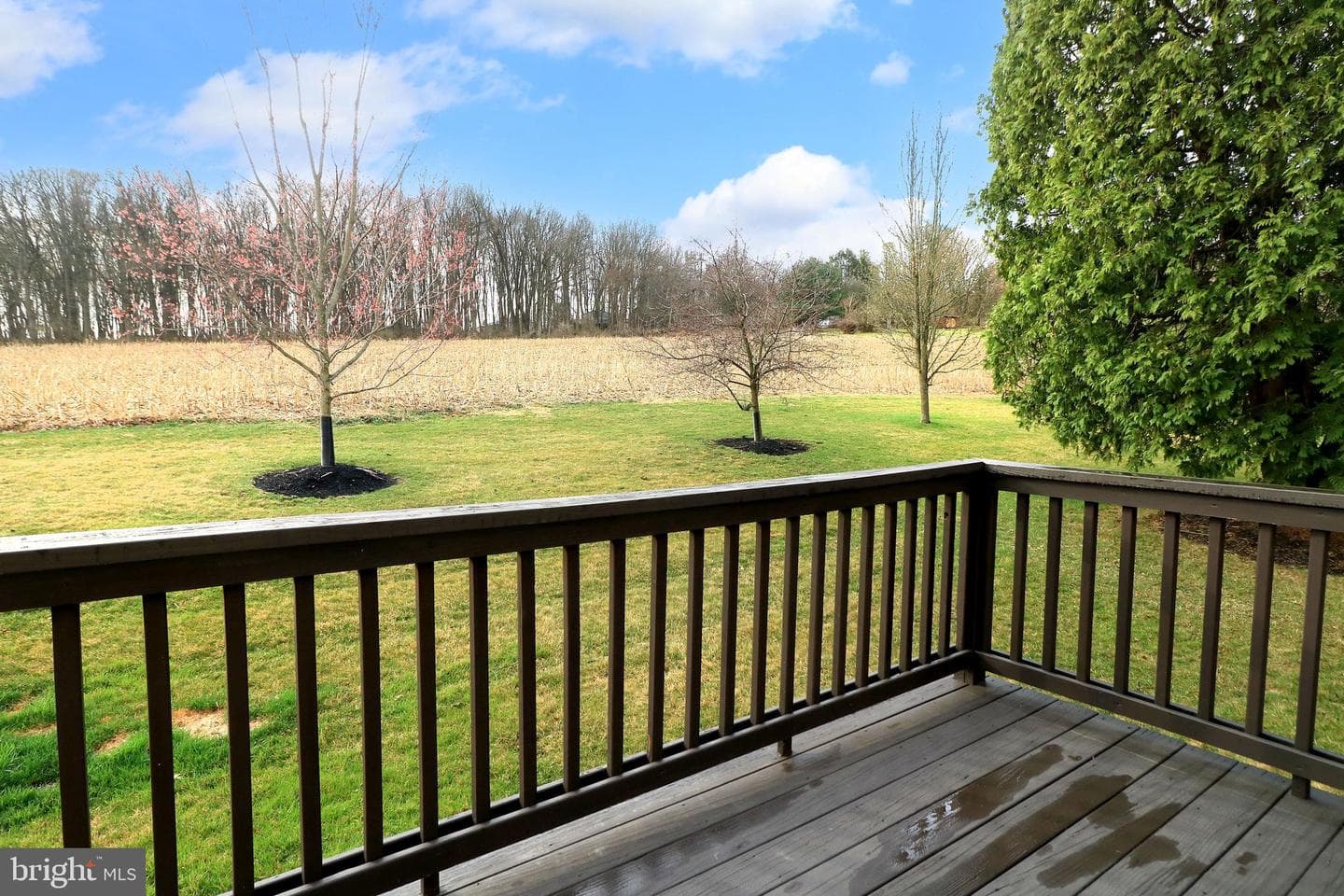 120 Faust Circle photo 51