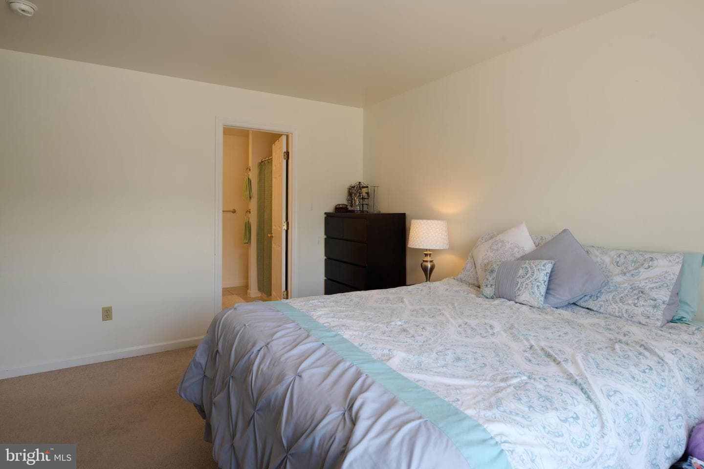 121 Washington Place #121 photo 25