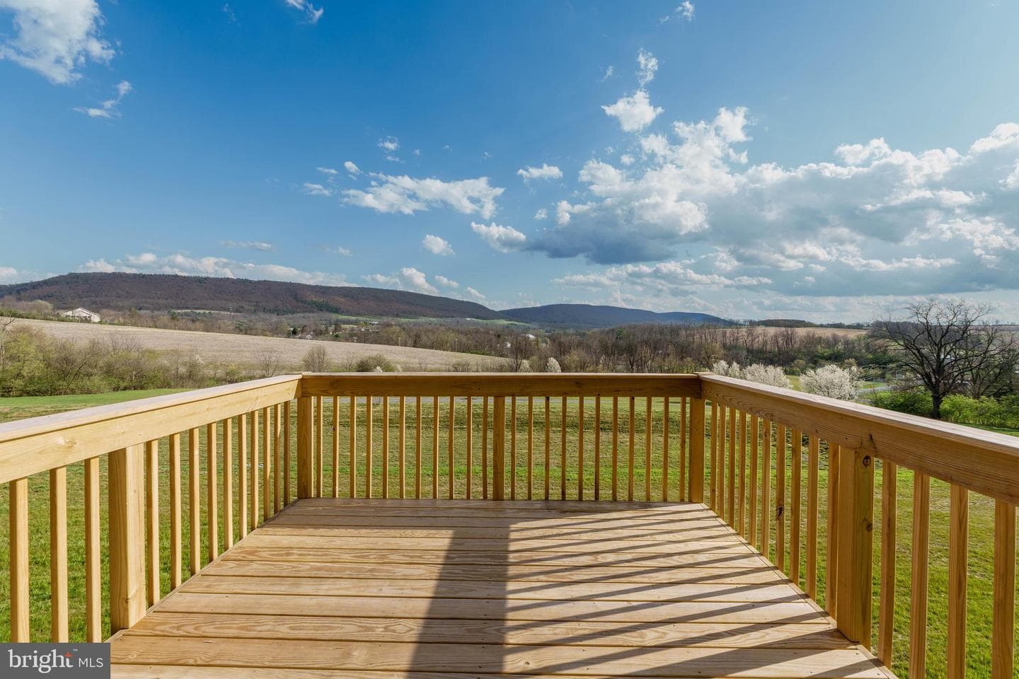 167 Highpoint Park Drive photo 32
