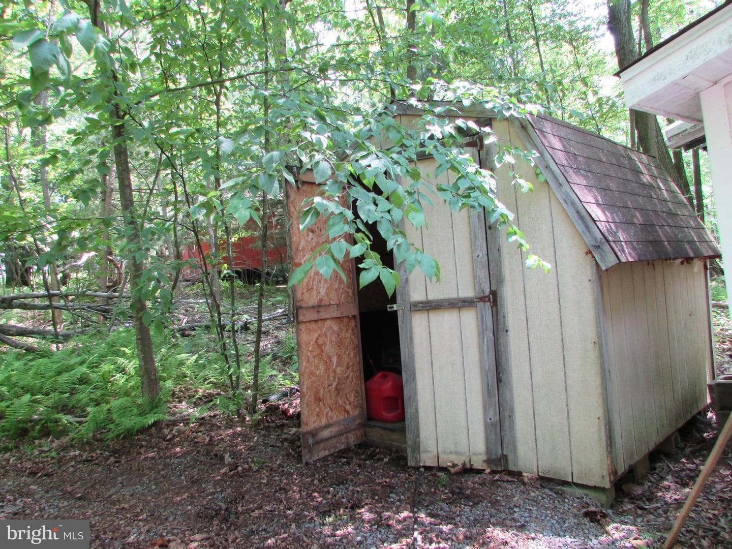 293 Snow Shoe Mountain Forest Road photo 29