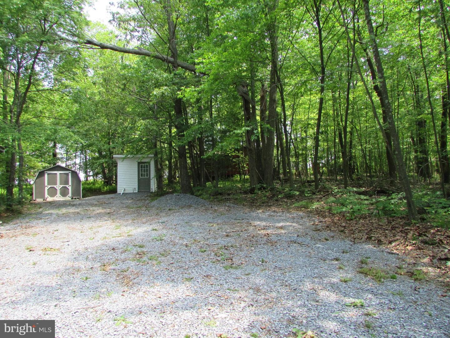 293 Snow Shoe Mountain Forest Road photo 30