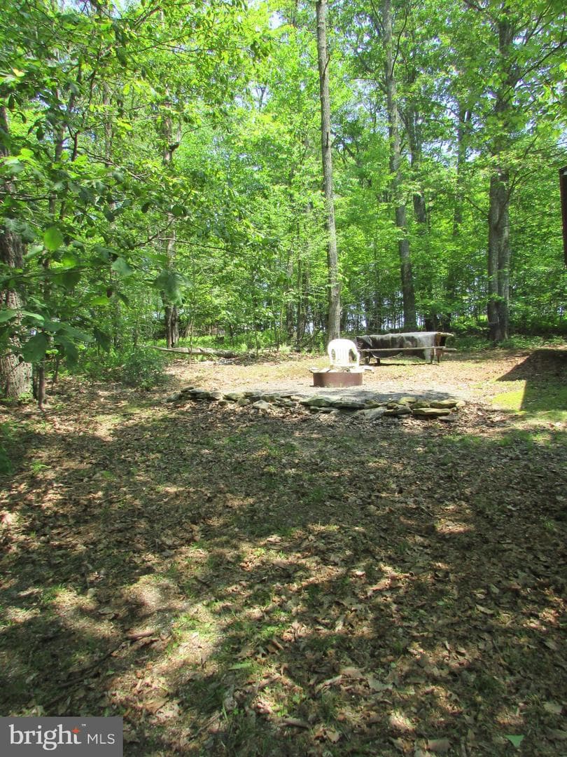 293 Snow Shoe Mountain Forest Road photo 31