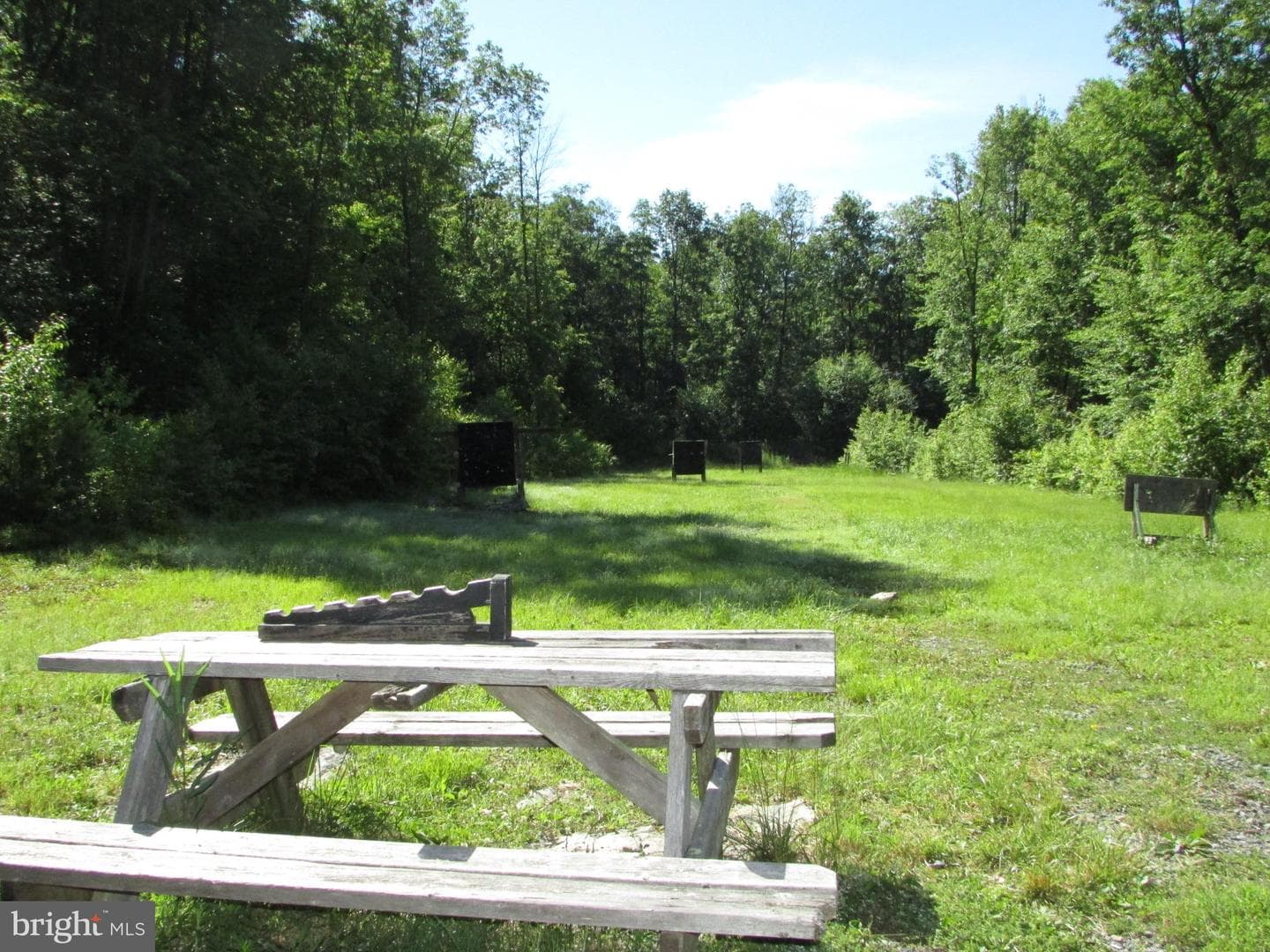 293 Snow Shoe Mountain Forest Road photo 34