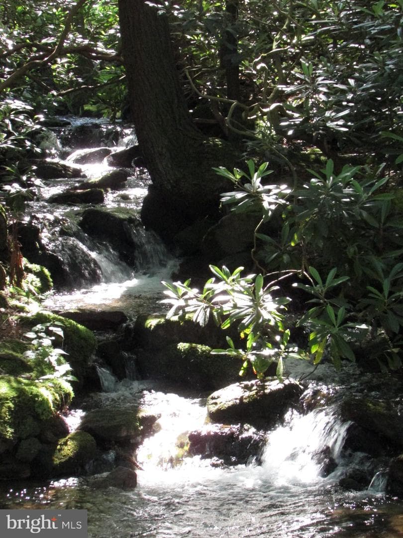 293 Snow Shoe Mountain Forest Road photo 35