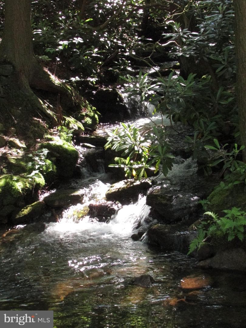 293 Snow Shoe Mountain Forest Road photo 36