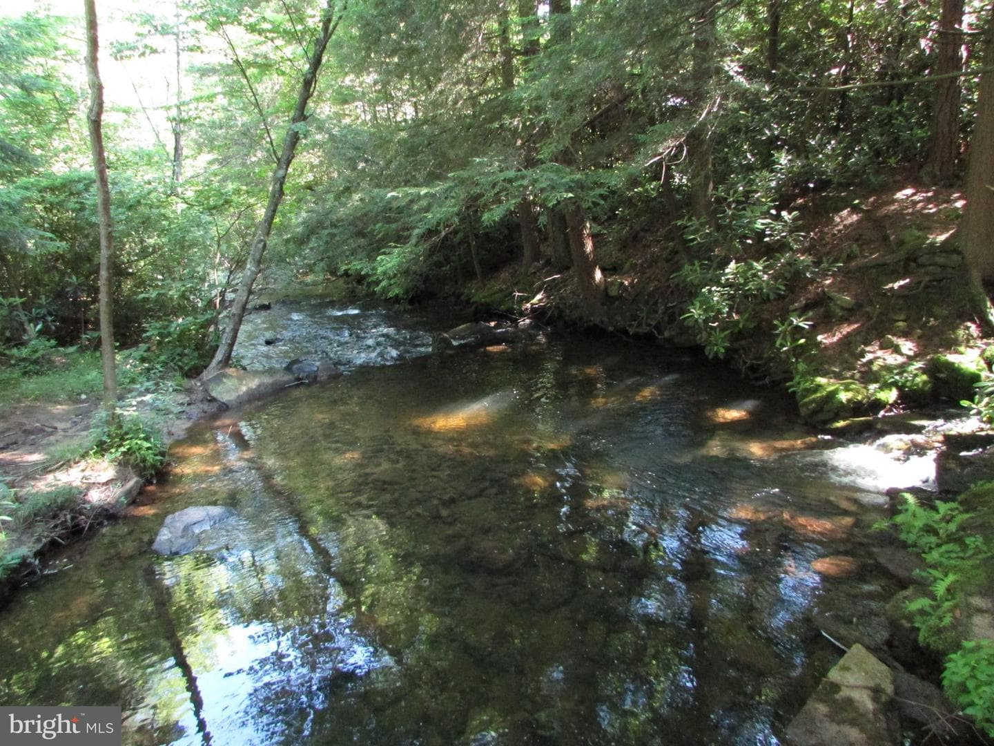 293 Snow Shoe Mountain Forest Road photo 37