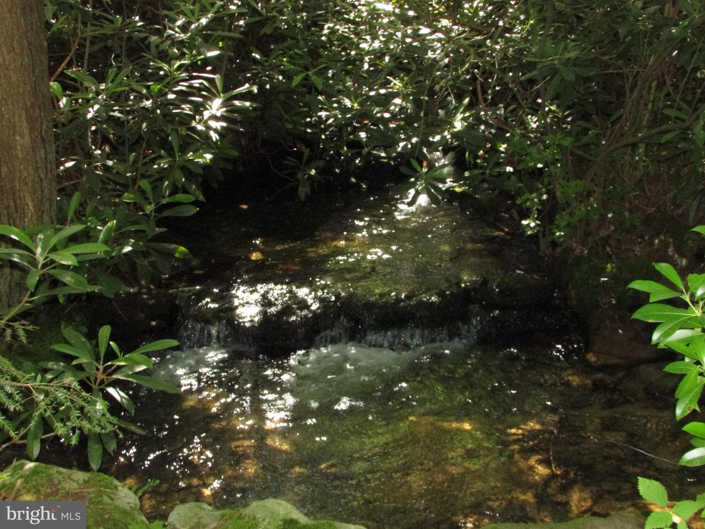 293 Snow Shoe Mountain Forest Road photo 38