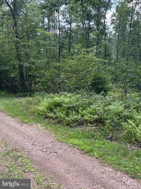 170 Blackberry Road photo 17