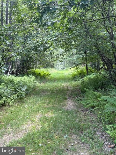170 Blackberry Road photo 18