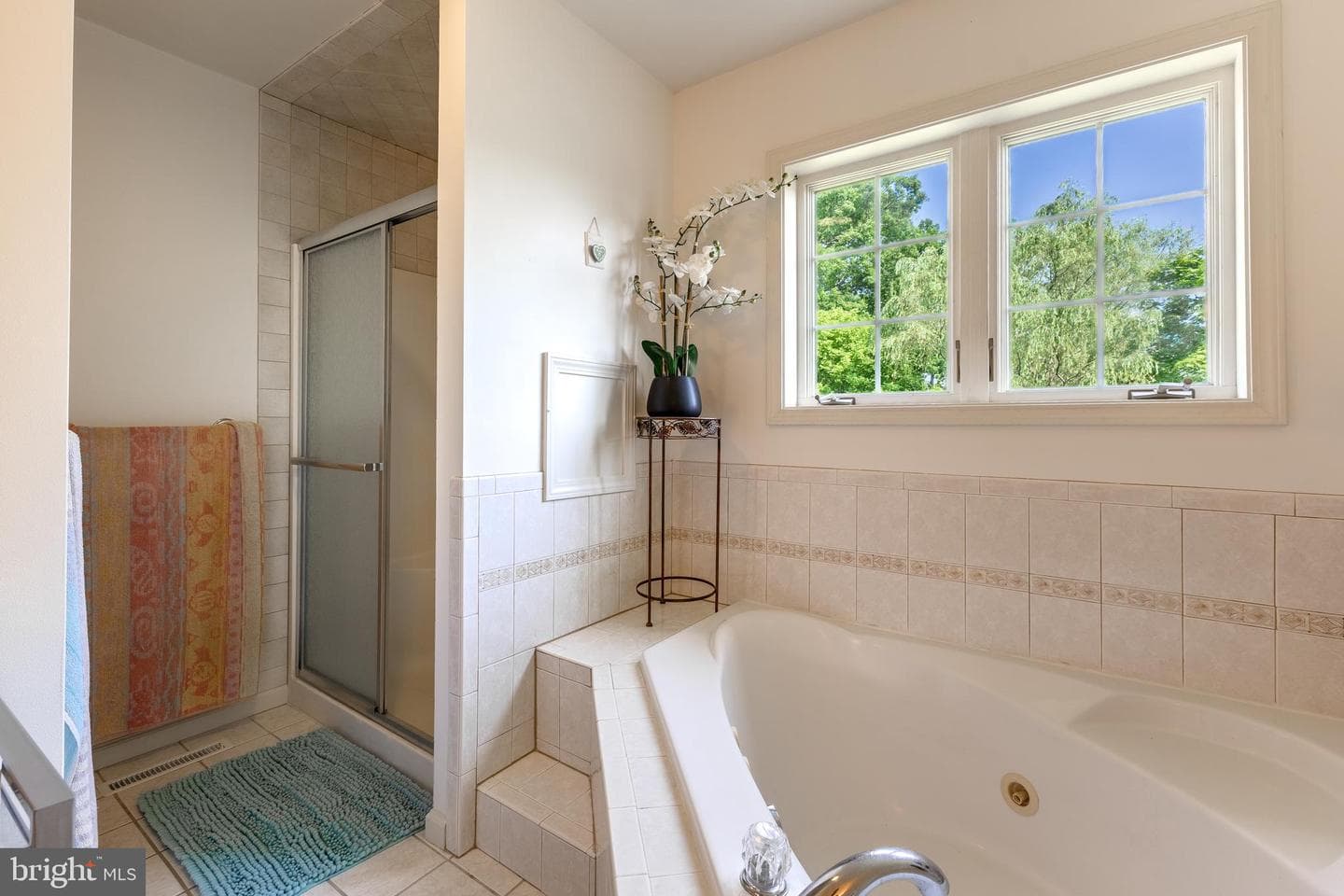 358 Baldwin Street photo 27