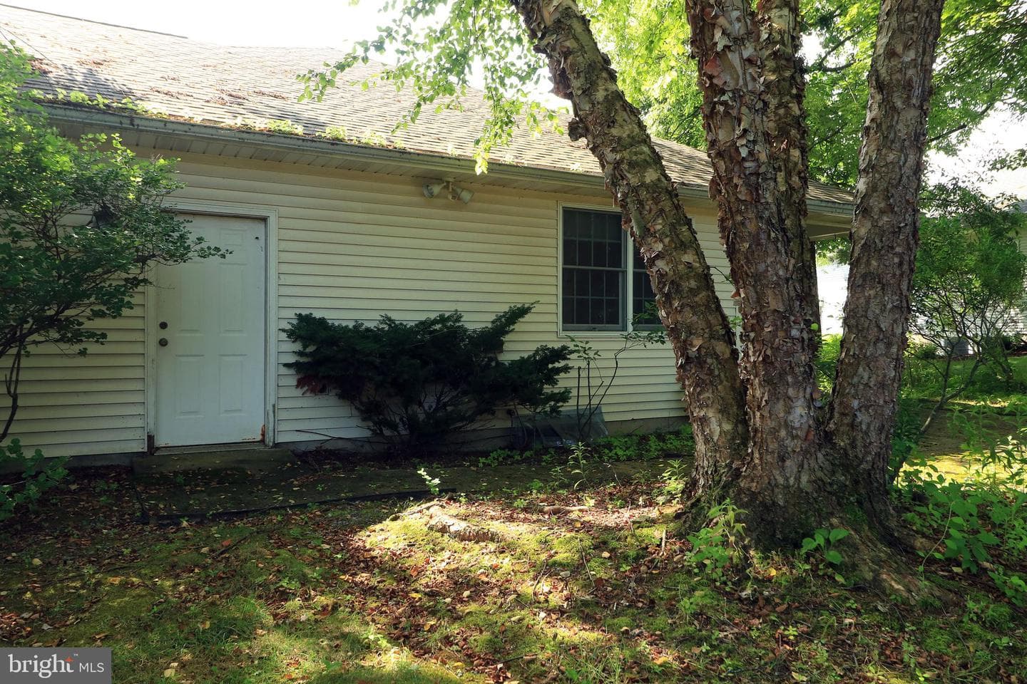 2489 Harvest Ridge Drive photo 53