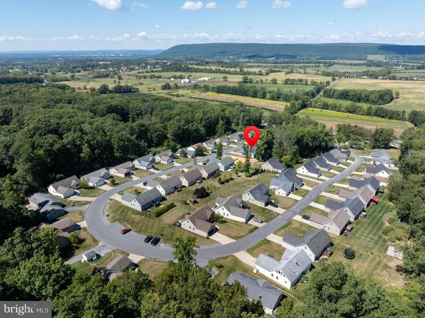 290 Timberwood Trail photo 42