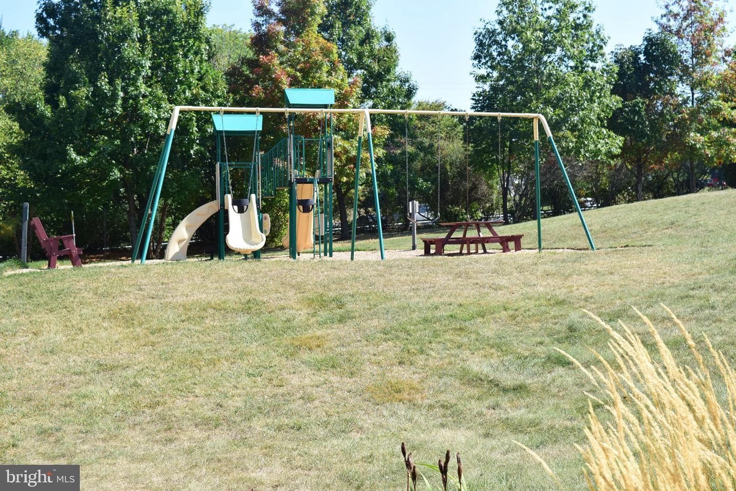75 Emma Court photo 53