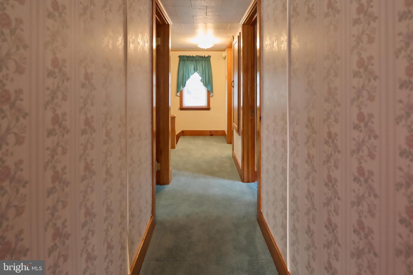 153 Cooper Street photo 25