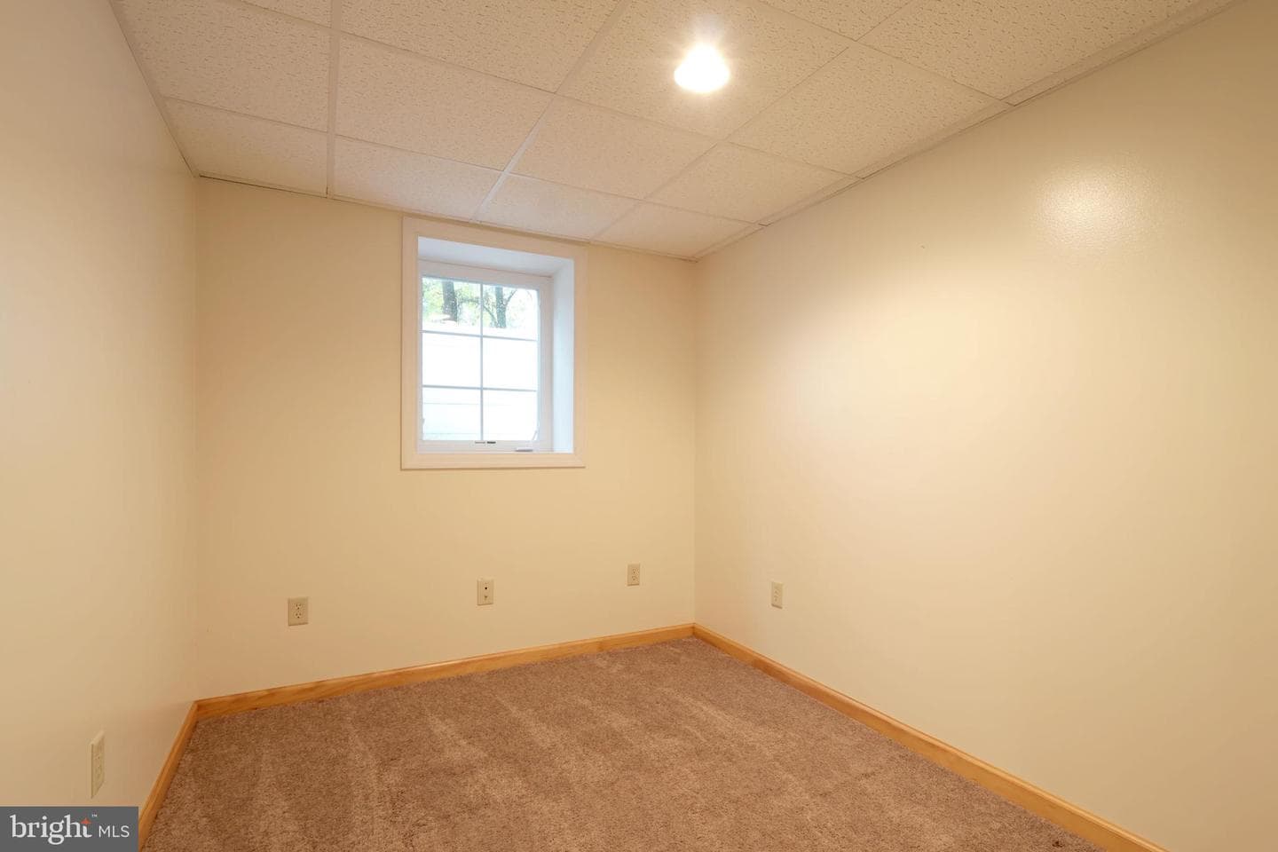 133 Lincoln Avenue photo 41