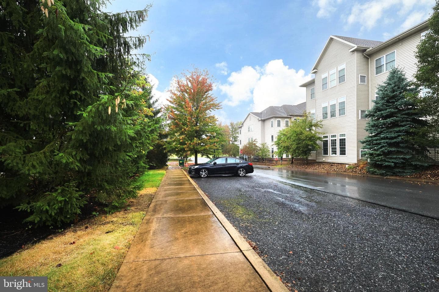 133 Lincoln Avenue photo 44