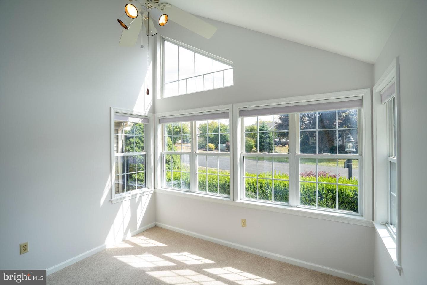 106 Wellington Drive photo 13