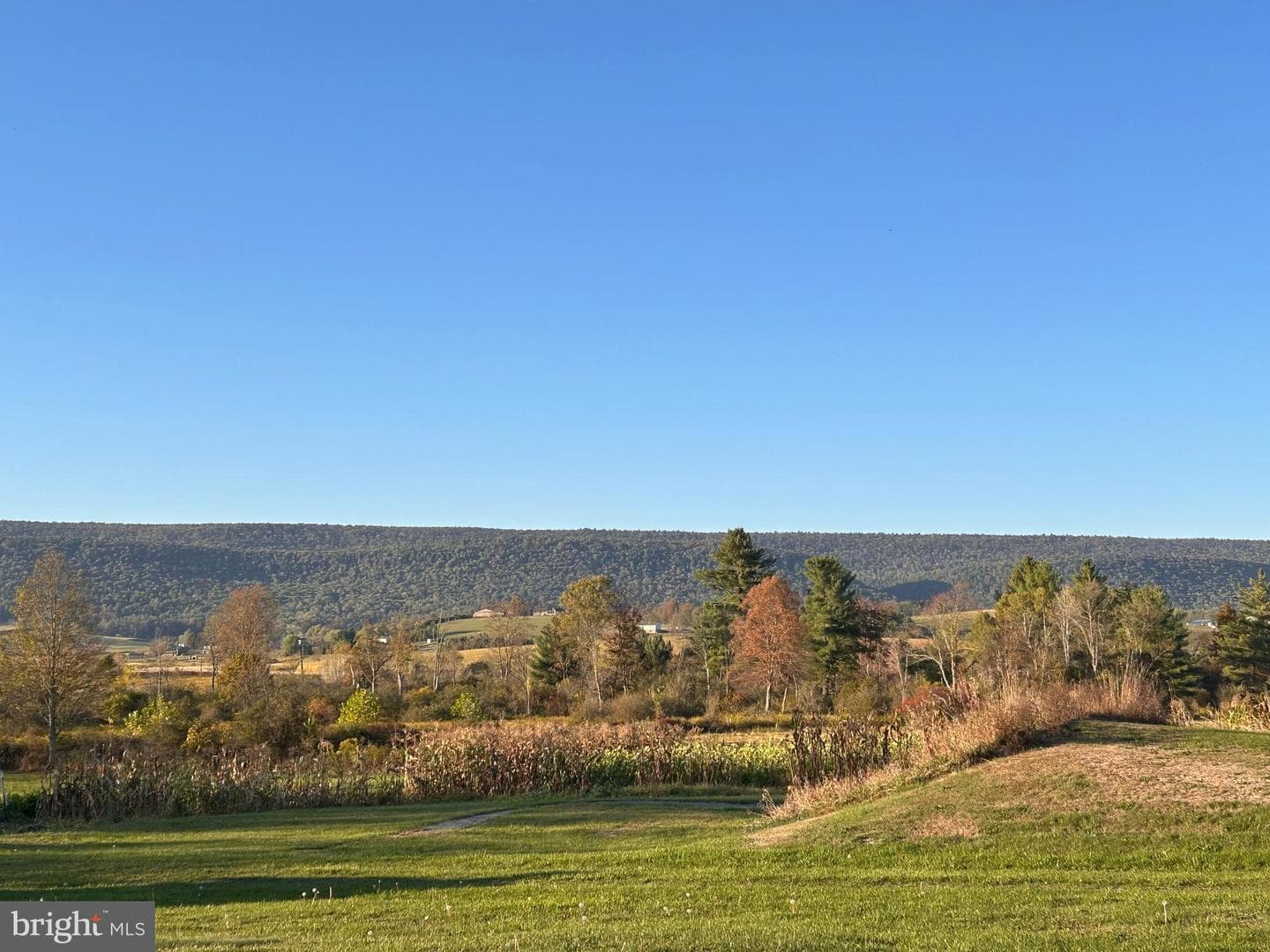 106 Mountain Avenue photo 32