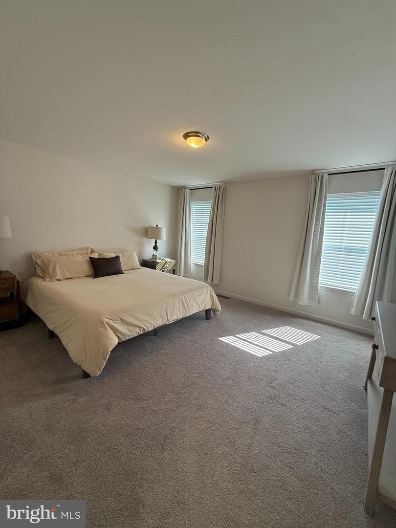 167 Bristlewood Circle #lot 222 photo 14