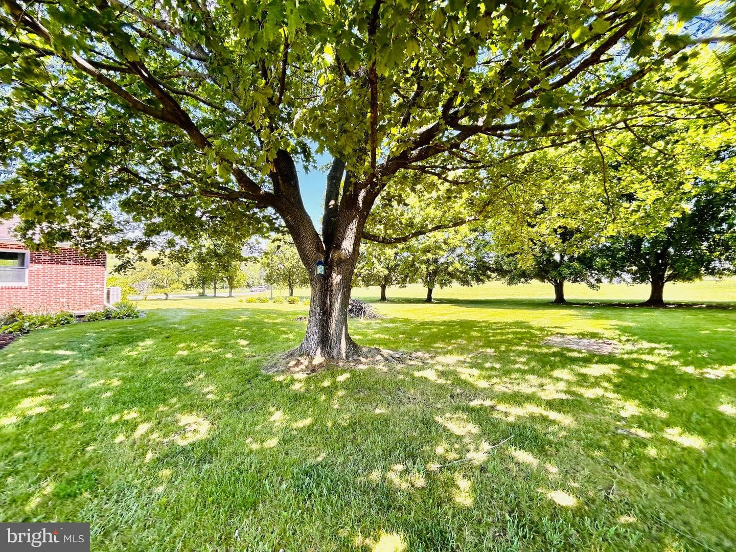 2068 Earlystown Road photo 55