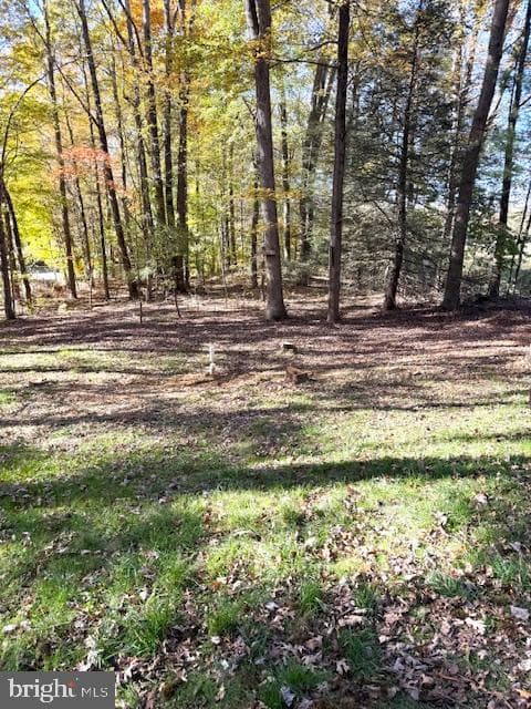 181 Lutz Lane photo 10